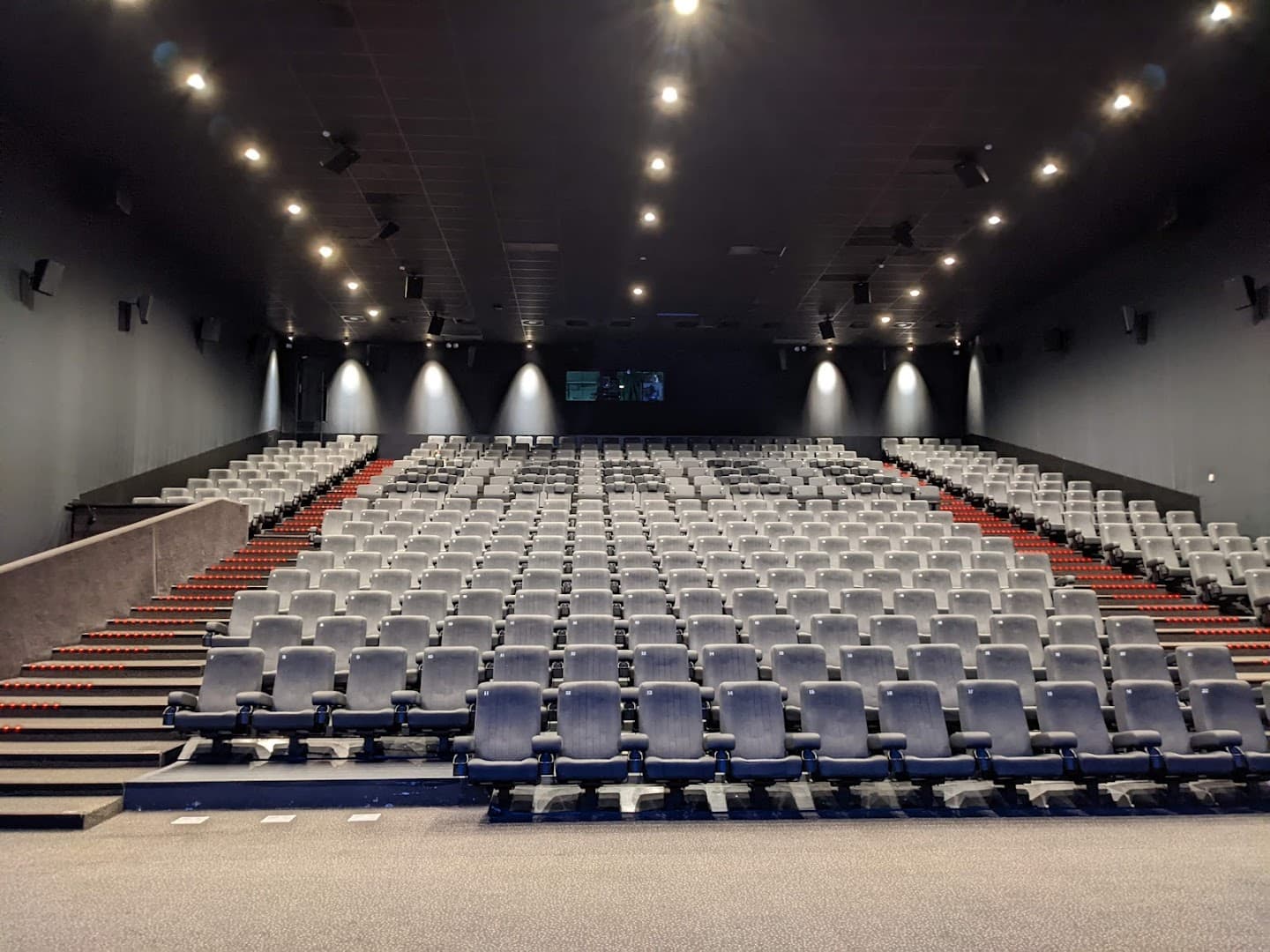 Imagibraine backdrop