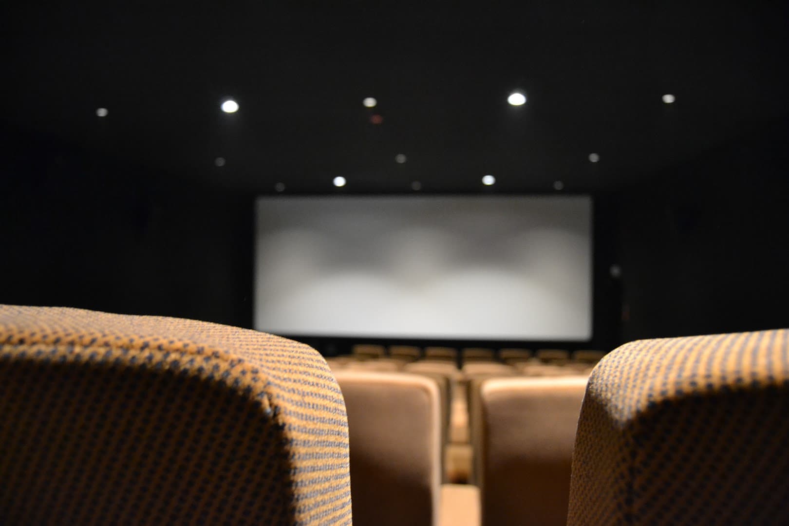 Cinema Lumière Mechelen backdrop