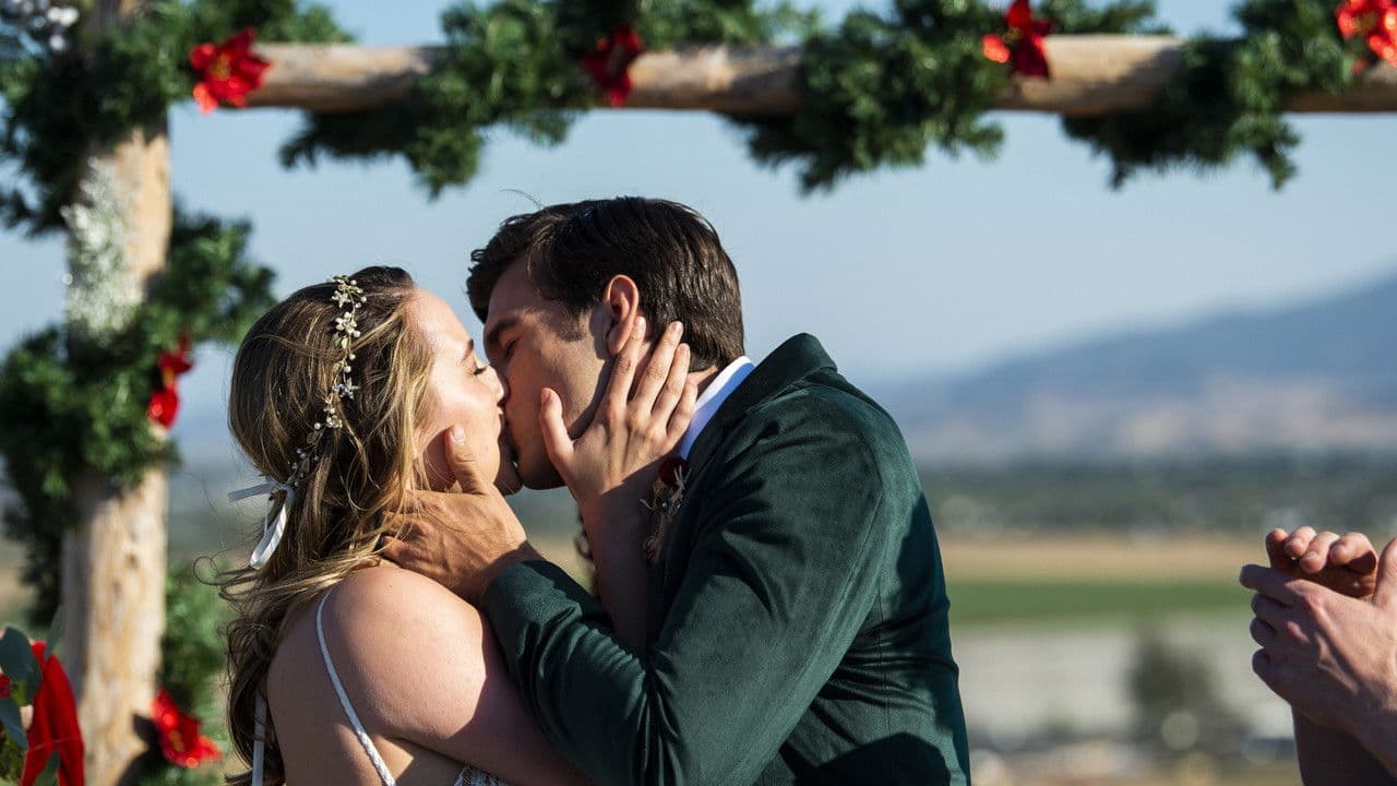 A California Christmas: City Lights backdrop