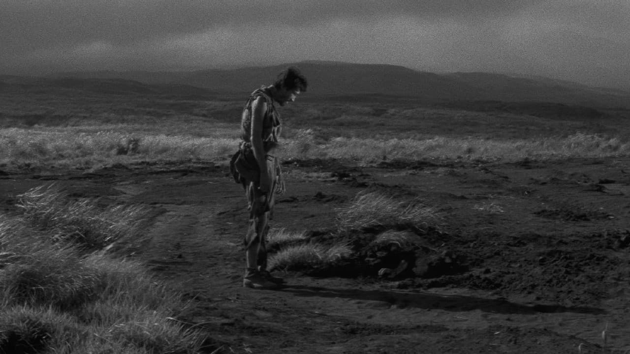 Fires on the Plain backdrop