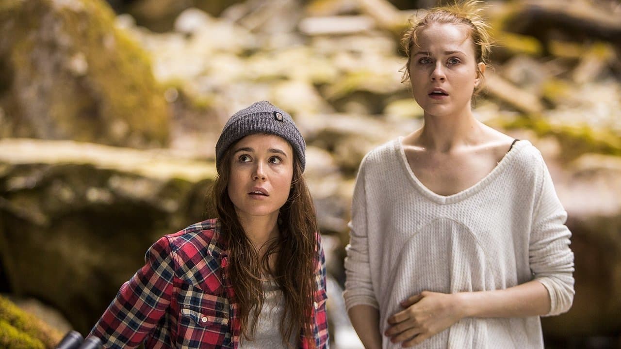 Into the Forest backdrop