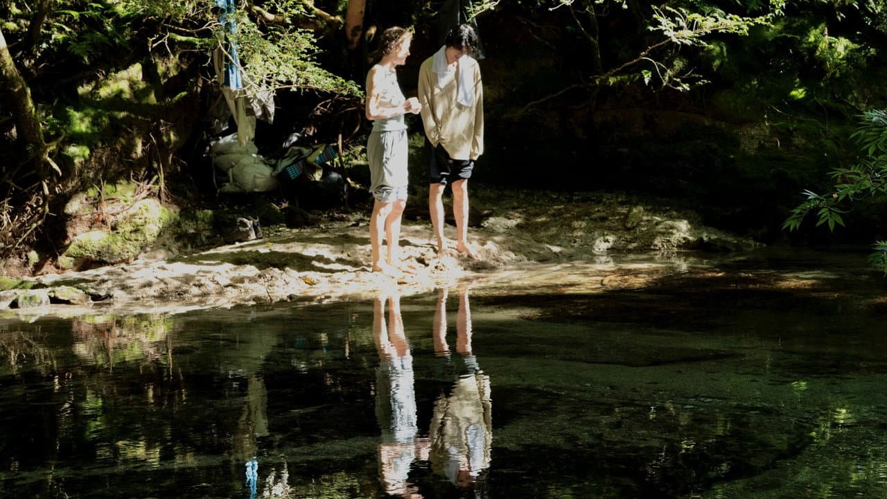 Yakushima's Illusion backdrop