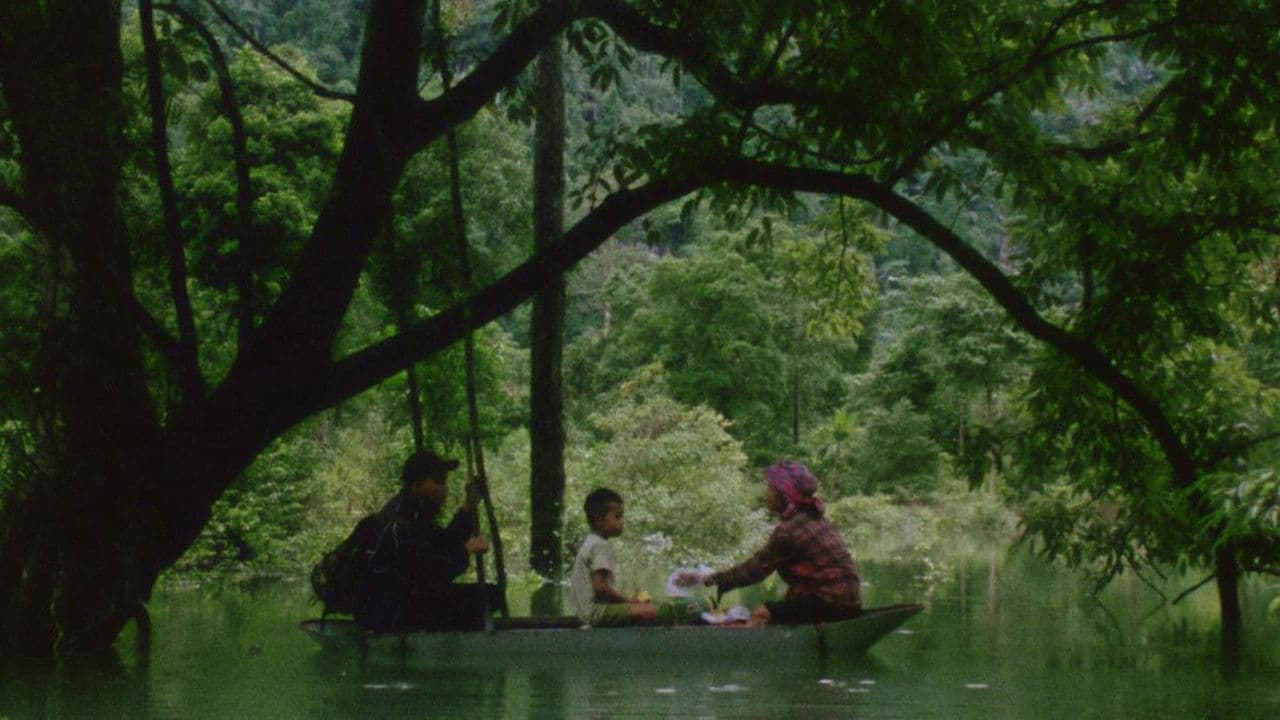 Hair, Paper, Water...: A Dreamlike Journey Back to the Cave