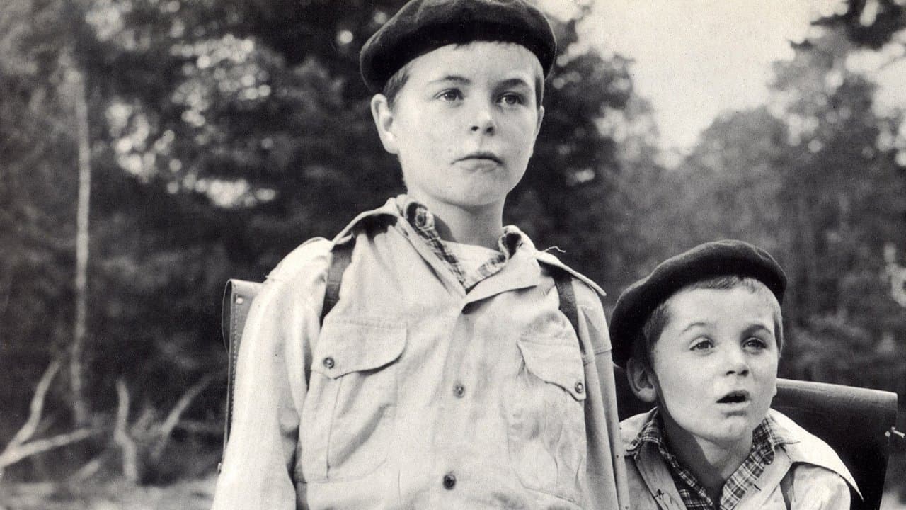 War of the Buttons backdrop