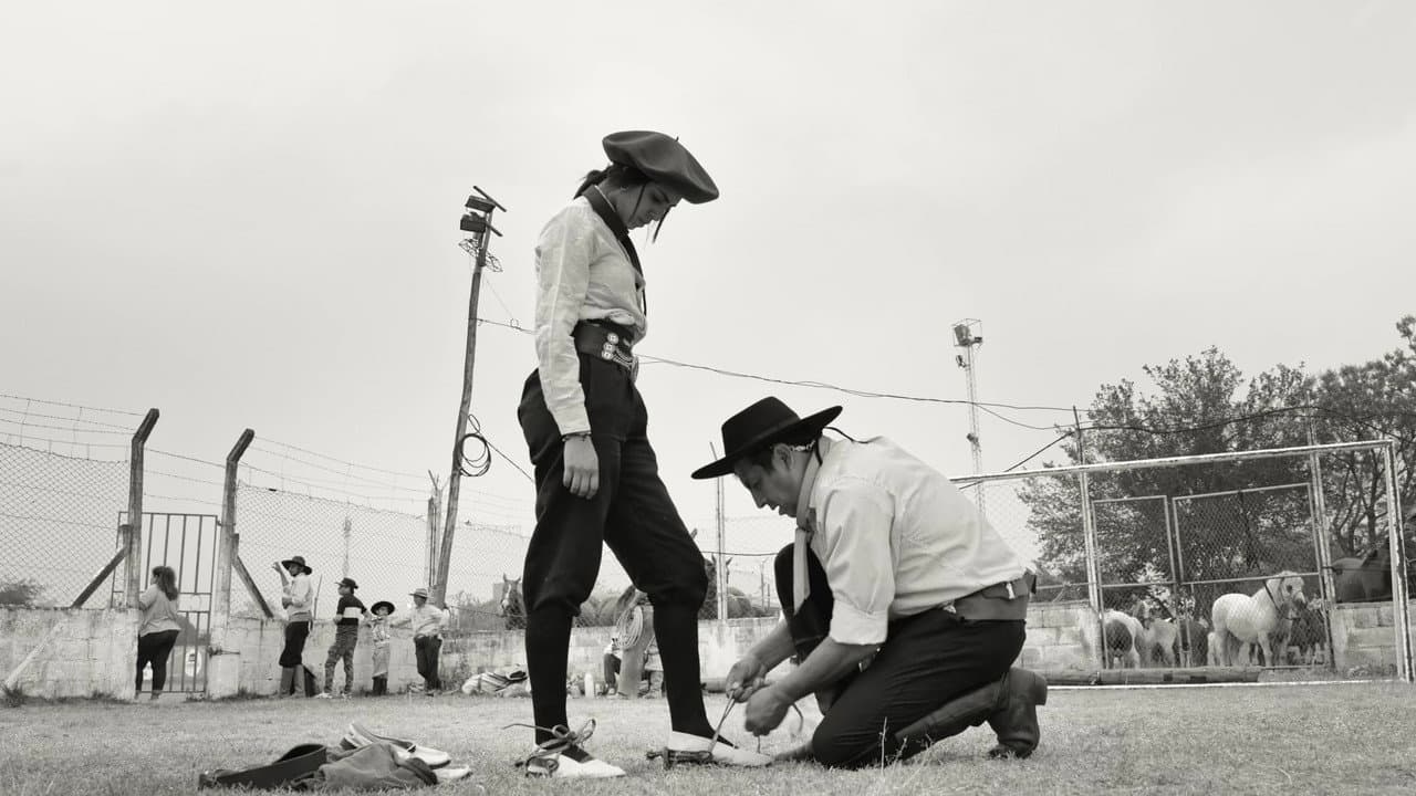 Gaucho Gaucho backdrop