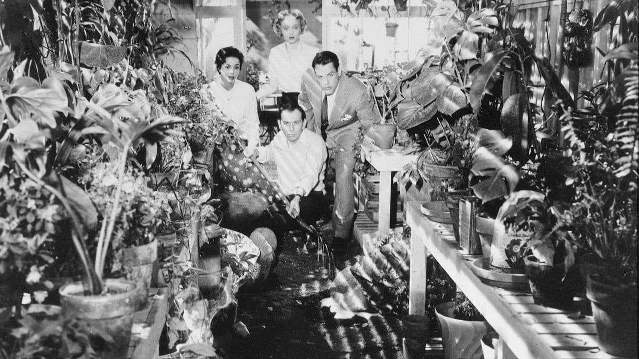 Invasion of the Body Snatchers backdrop