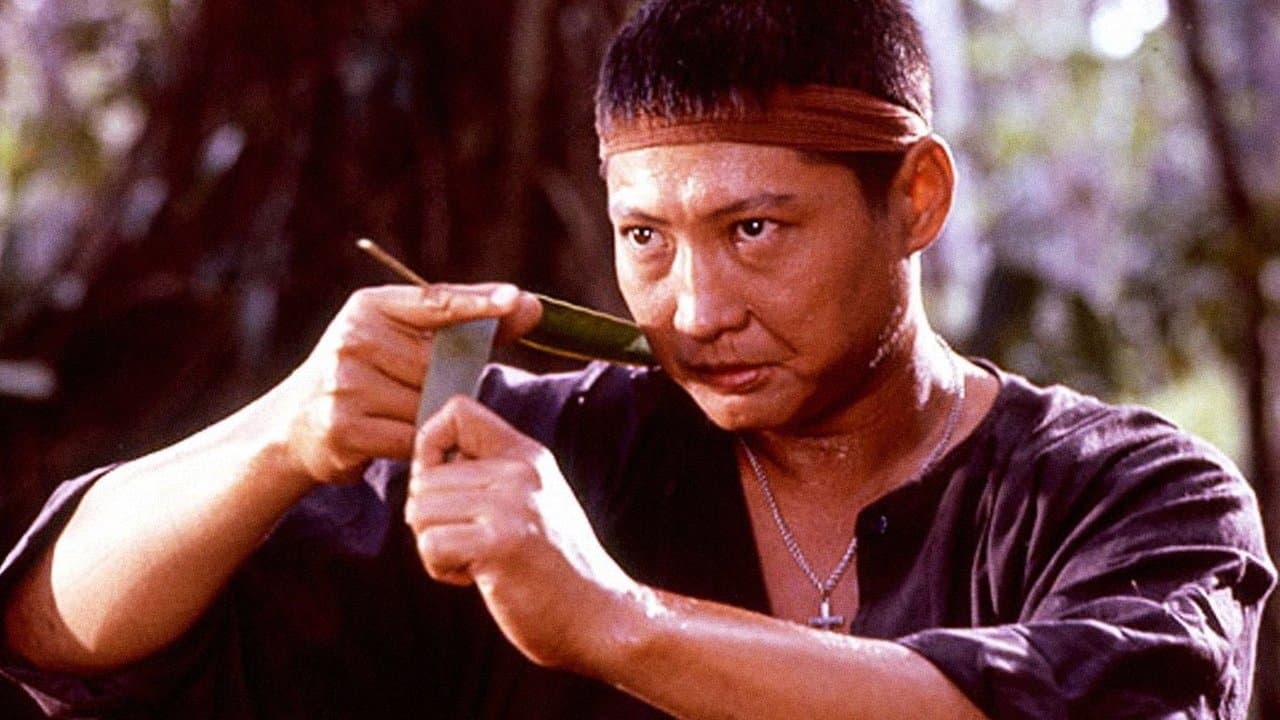 Eastern Condors backdrop