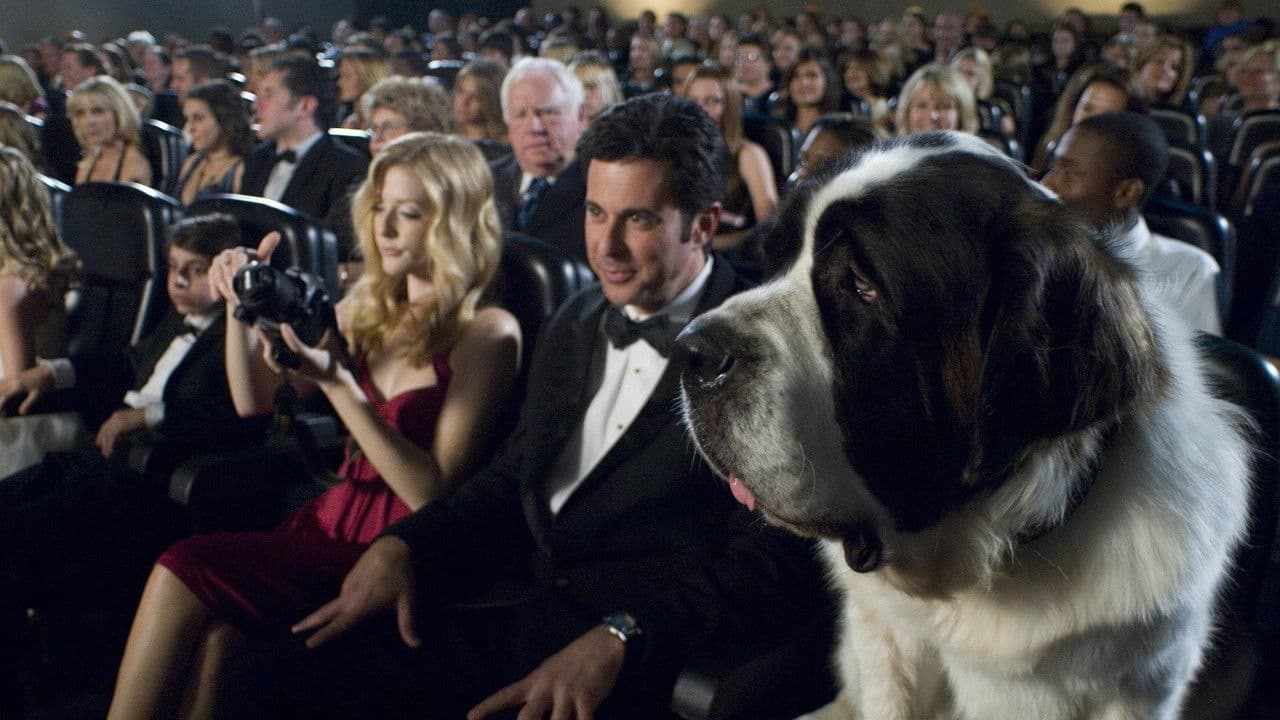 Beethoven's Big Break backdrop