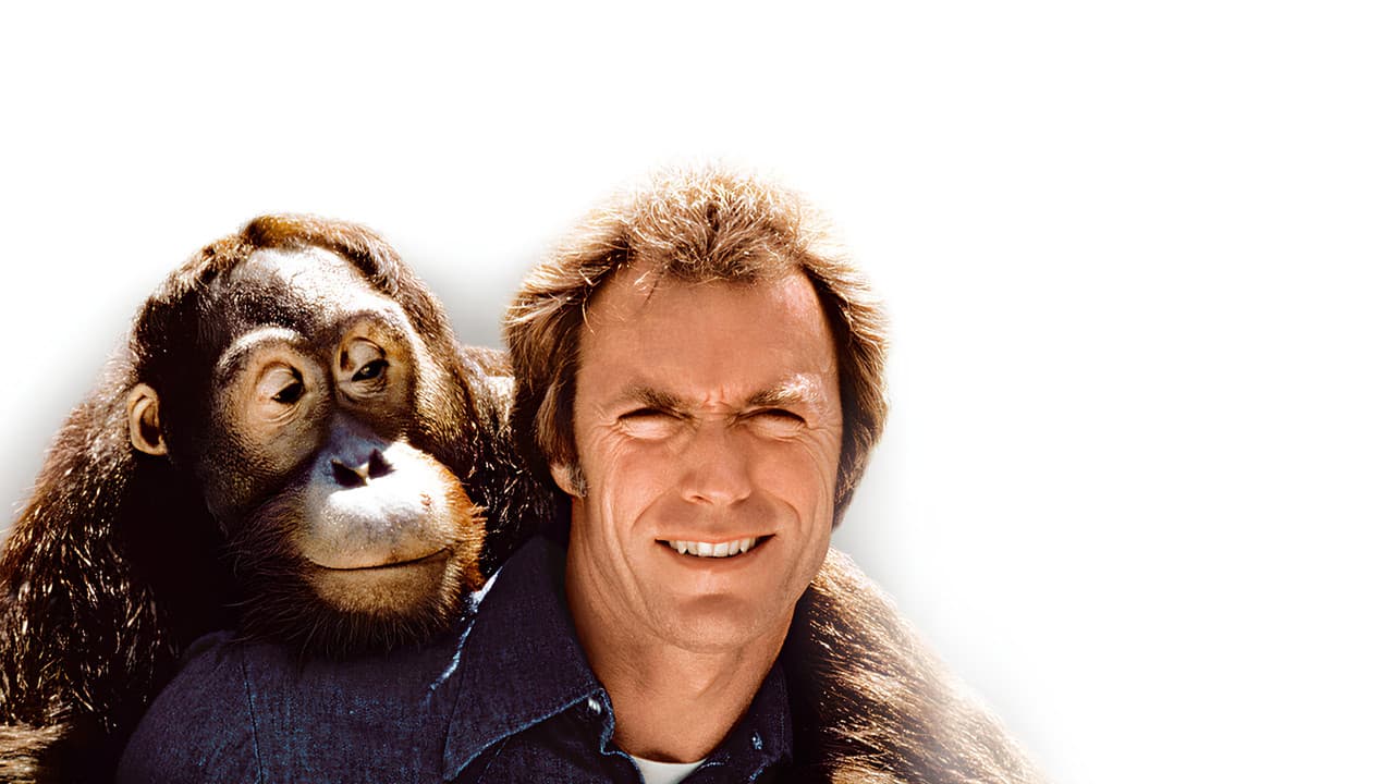 Any Which Way You Can backdrop