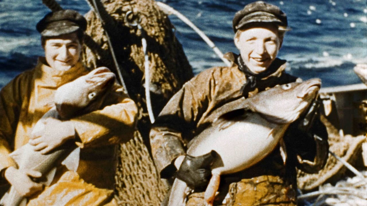 The Documentary Journey of Madame Anita Conti backdrop