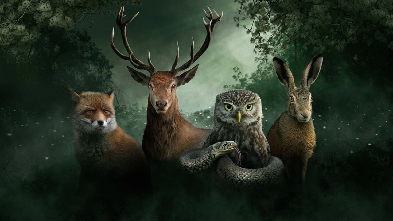 Our Nature, The Movie backdrop
