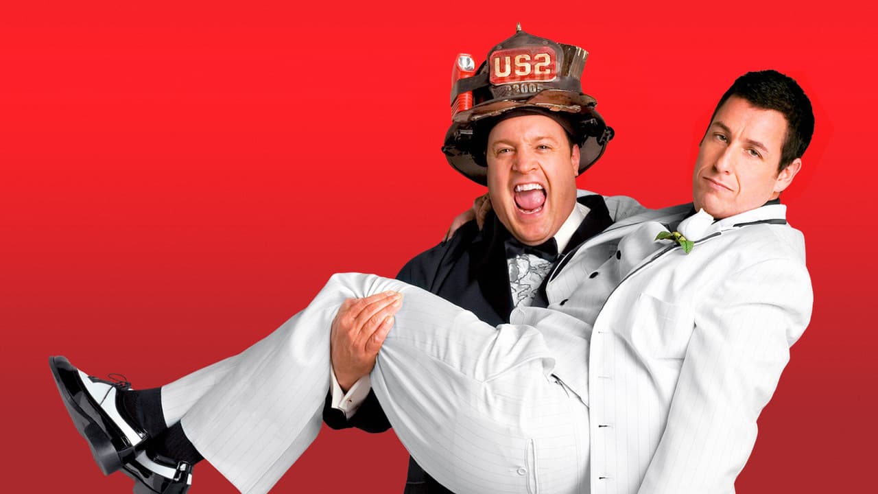 I Now Pronounce You Chuck & Larry backdrop