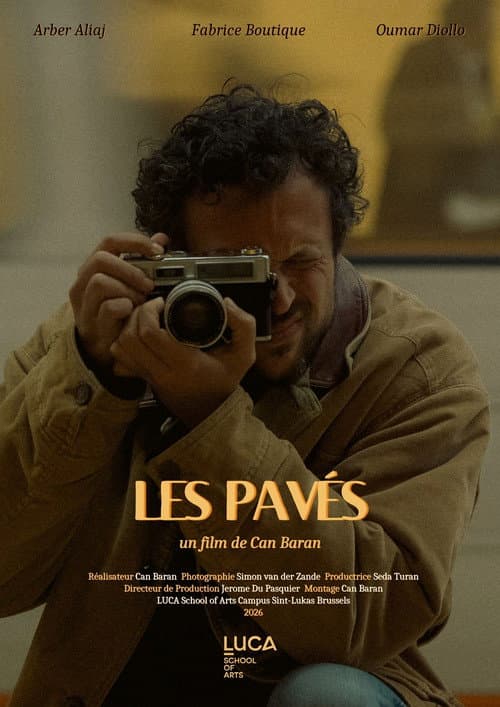 Les Pavés poster