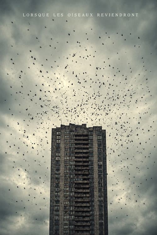 When The Birds Return poster