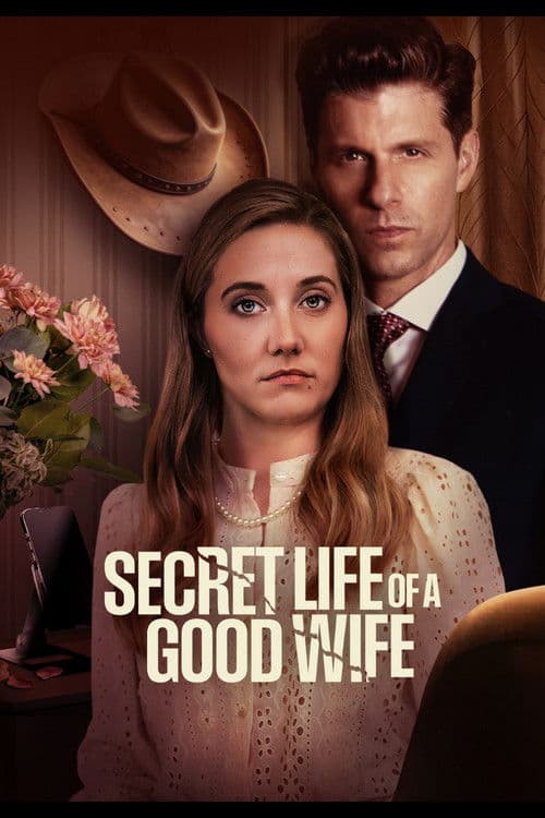 Secret Life of a Good Wife poster