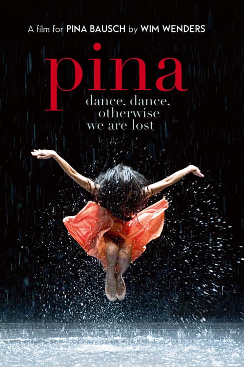 Pina poster