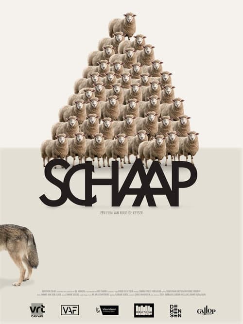 Sheep poster