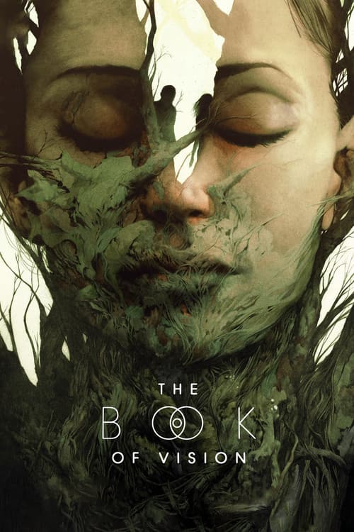 The Book Of Vision poster