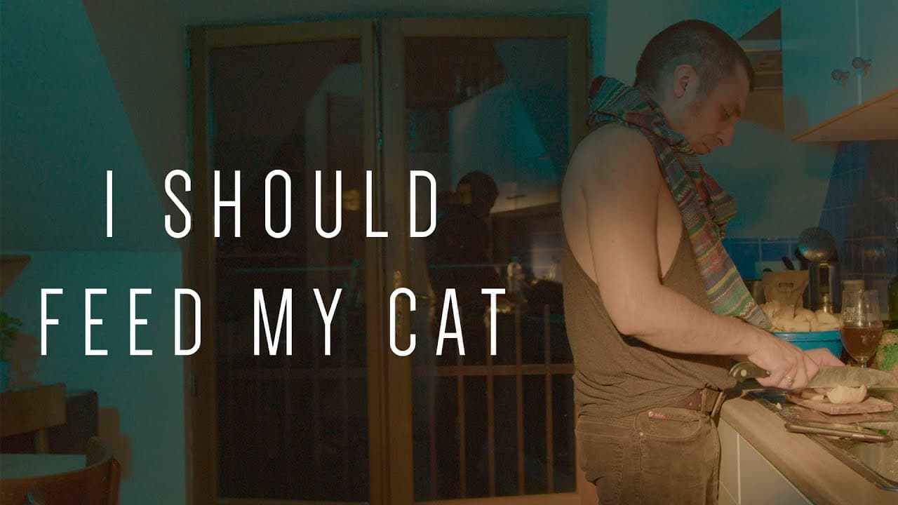 I Should Feed My Cat trailer thumbnail