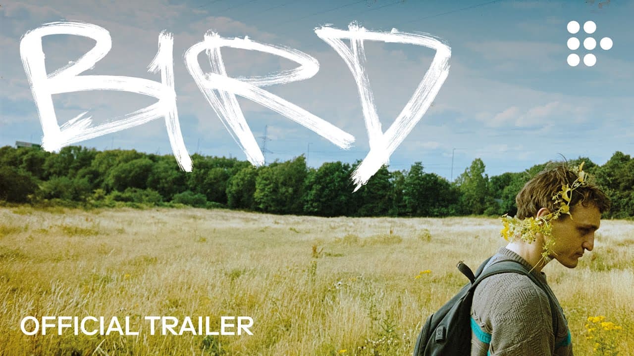 Bird trailer thumbnail