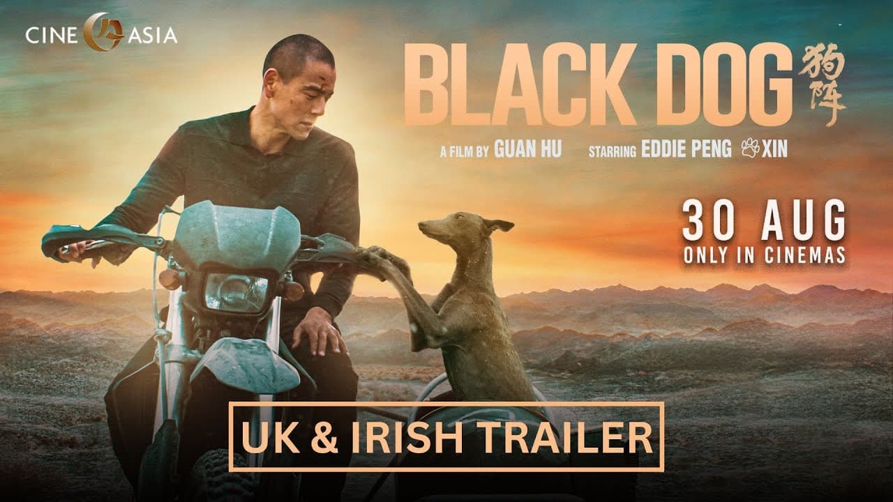 Black Dog trailer thumbnail