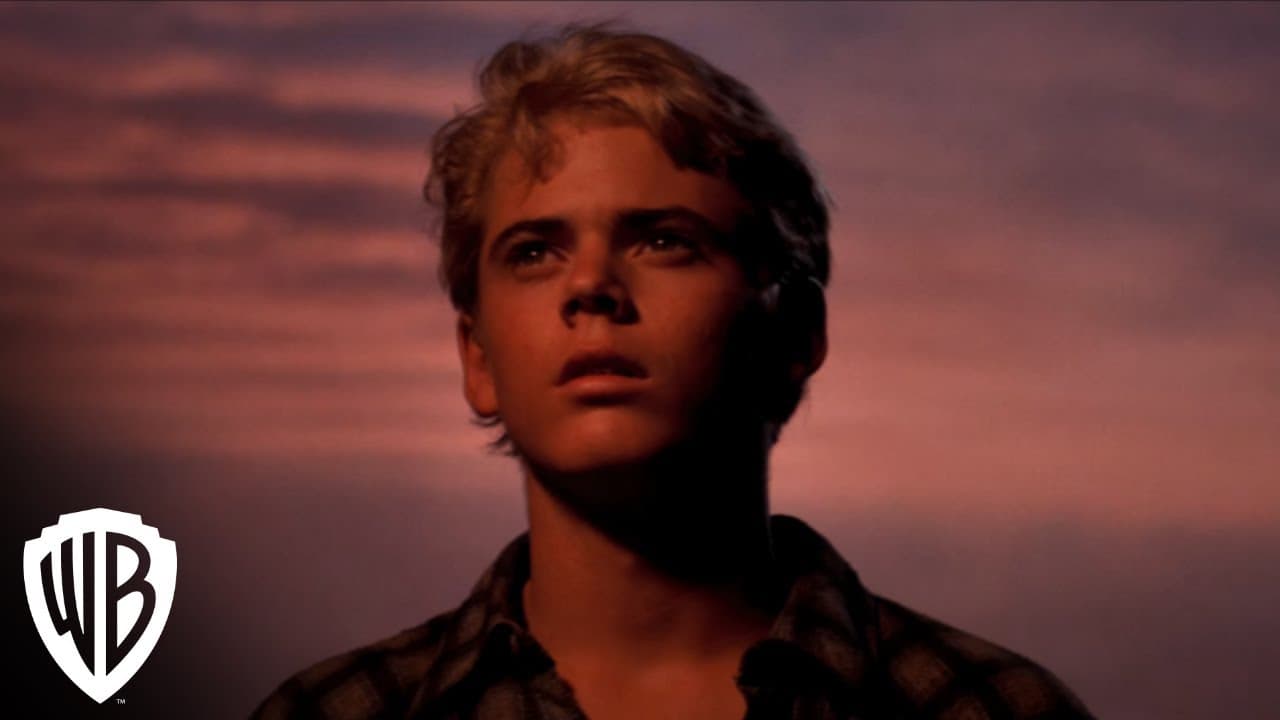 The Outsiders trailer thumbnail