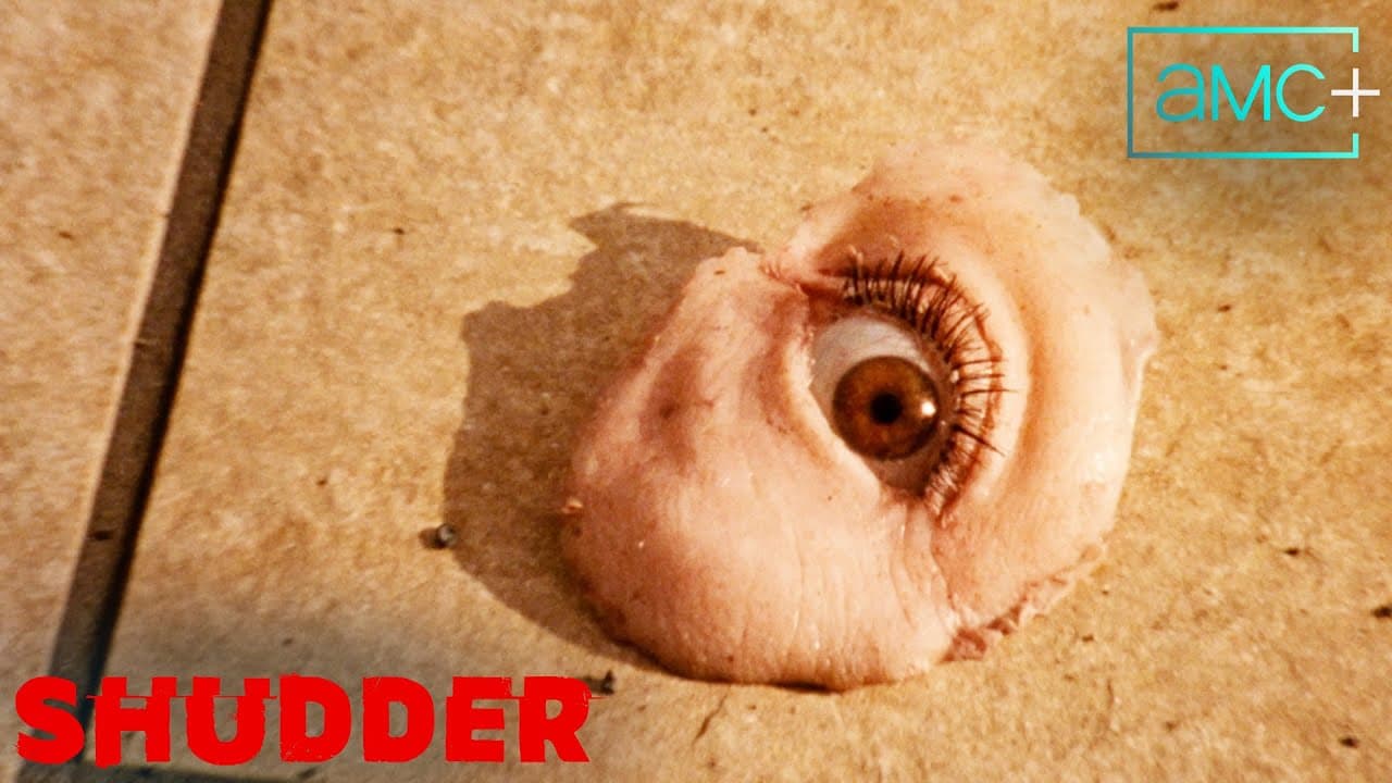 Reflection in a Dead Diamond trailer thumbnail