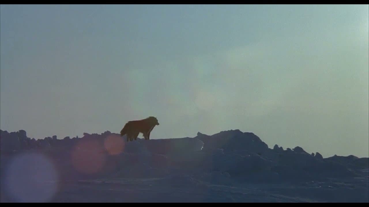 Antarctica trailer thumbnail