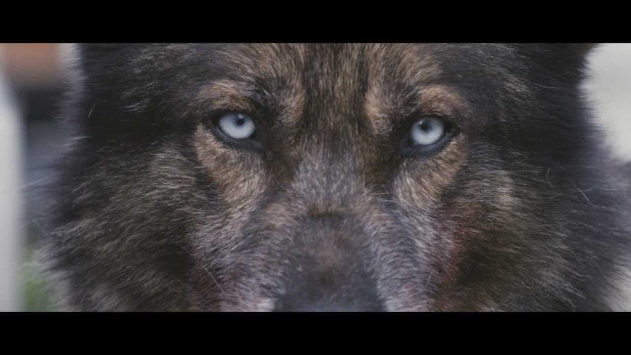 Howling trailer thumbnail