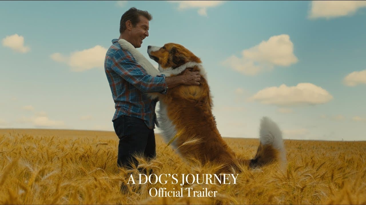 A Dog's Journey trailer thumbnail