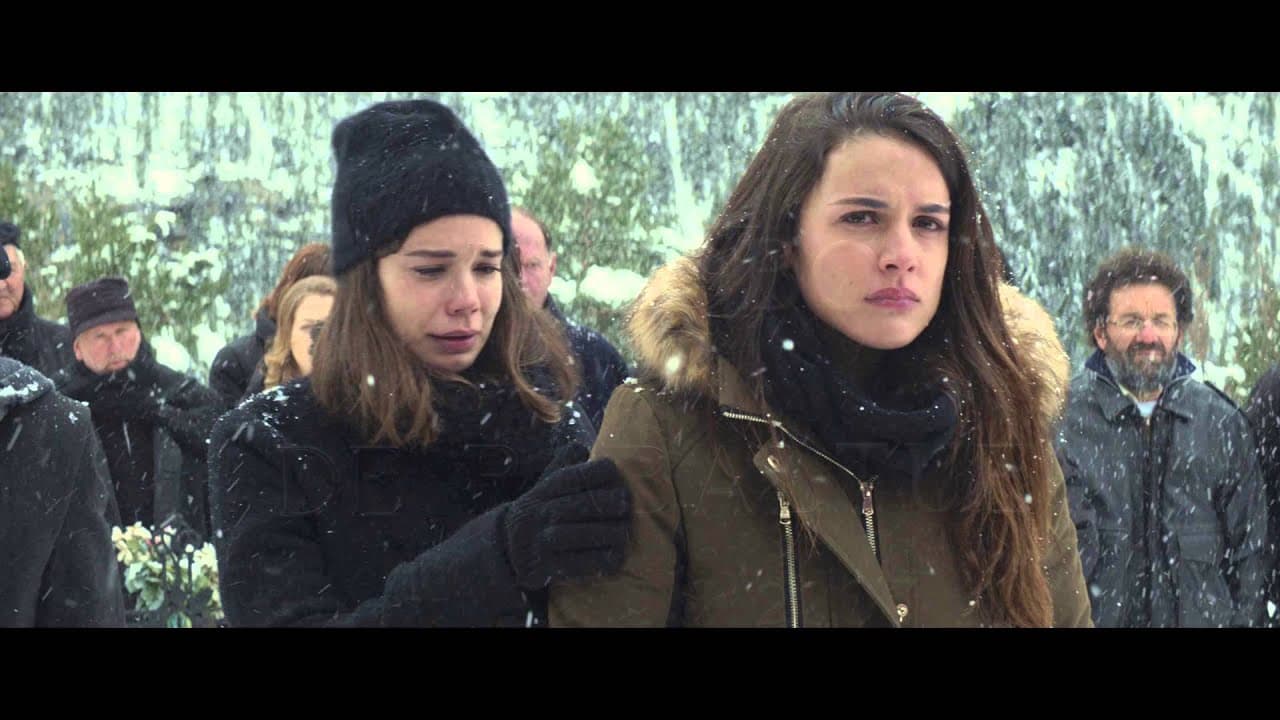 Palm Trees in the Snow trailer thumbnail