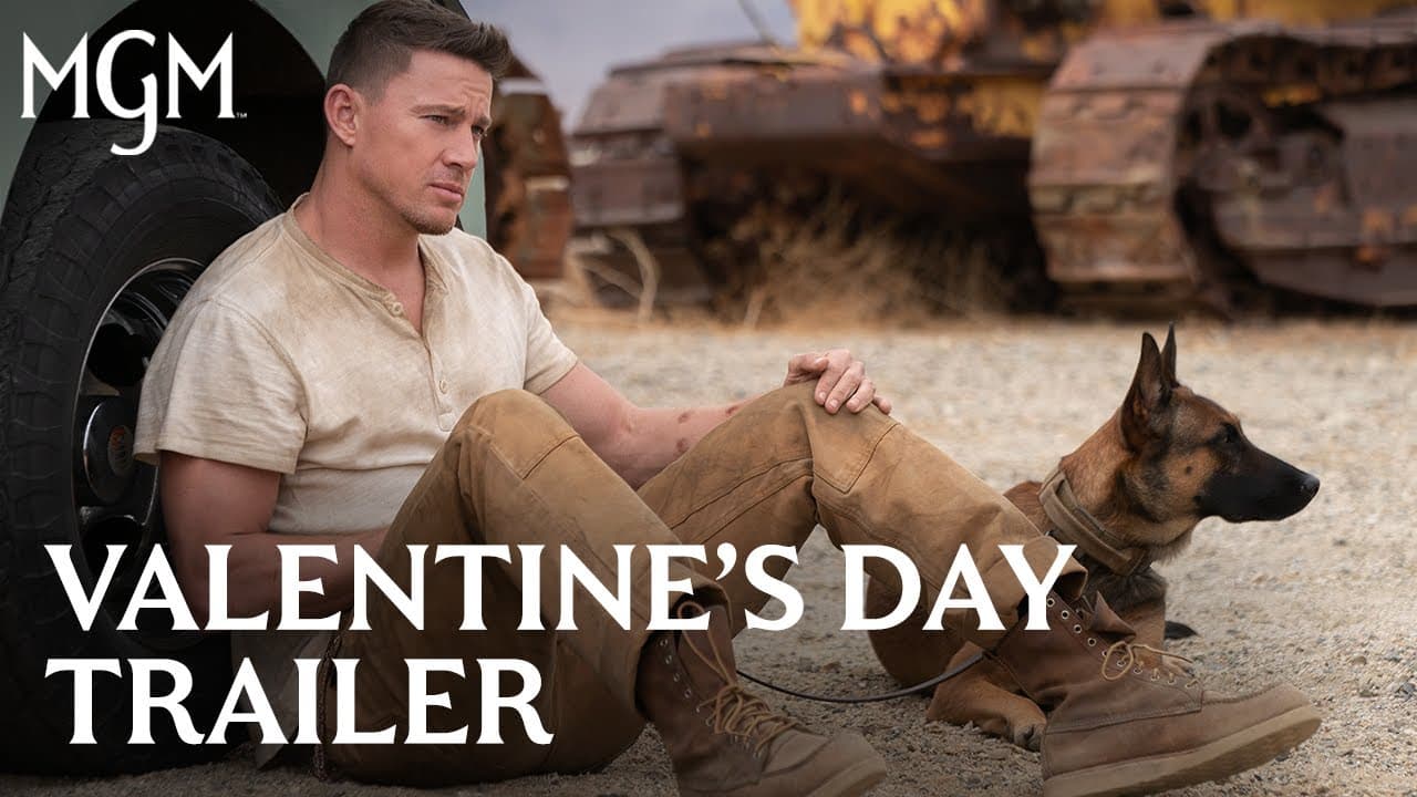 Dog trailer thumbnail