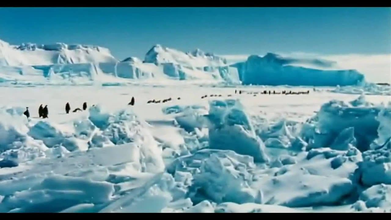 March of the Penguins trailer thumbnail