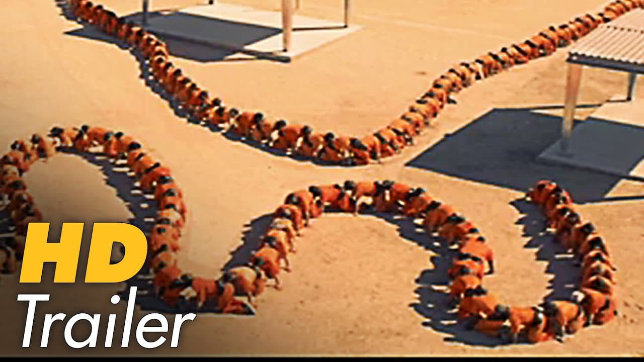 The Human Centipede 3 (Final Sequence) trailer thumbnail