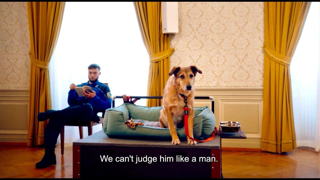 Dog on Trial trailer thumbnail
