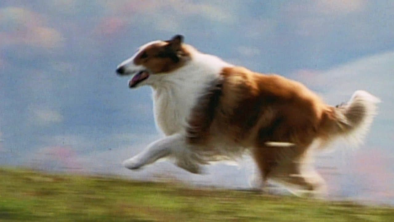 Lassie trailer thumbnail
