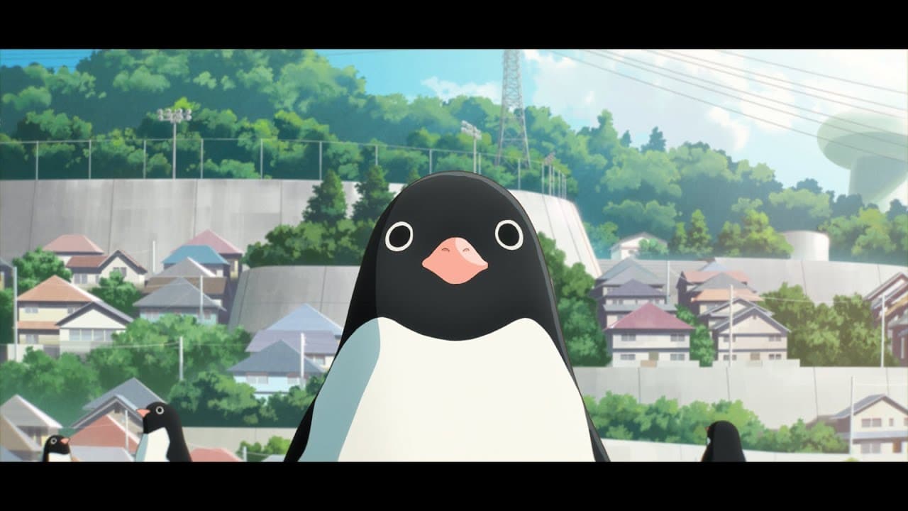 Penguin Highway trailer thumbnail