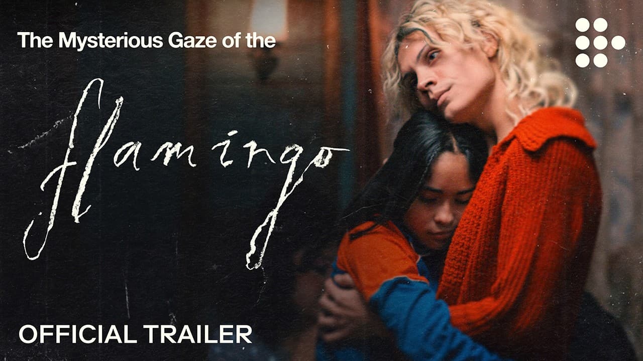 The Mysterious Gaze of the Flamingo trailer thumbnail