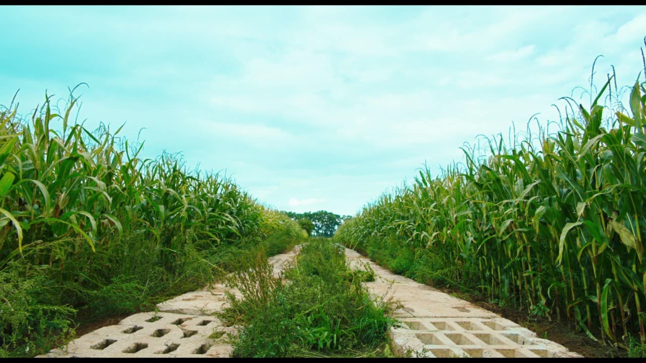 Goodbye Berlin trailer thumbnail