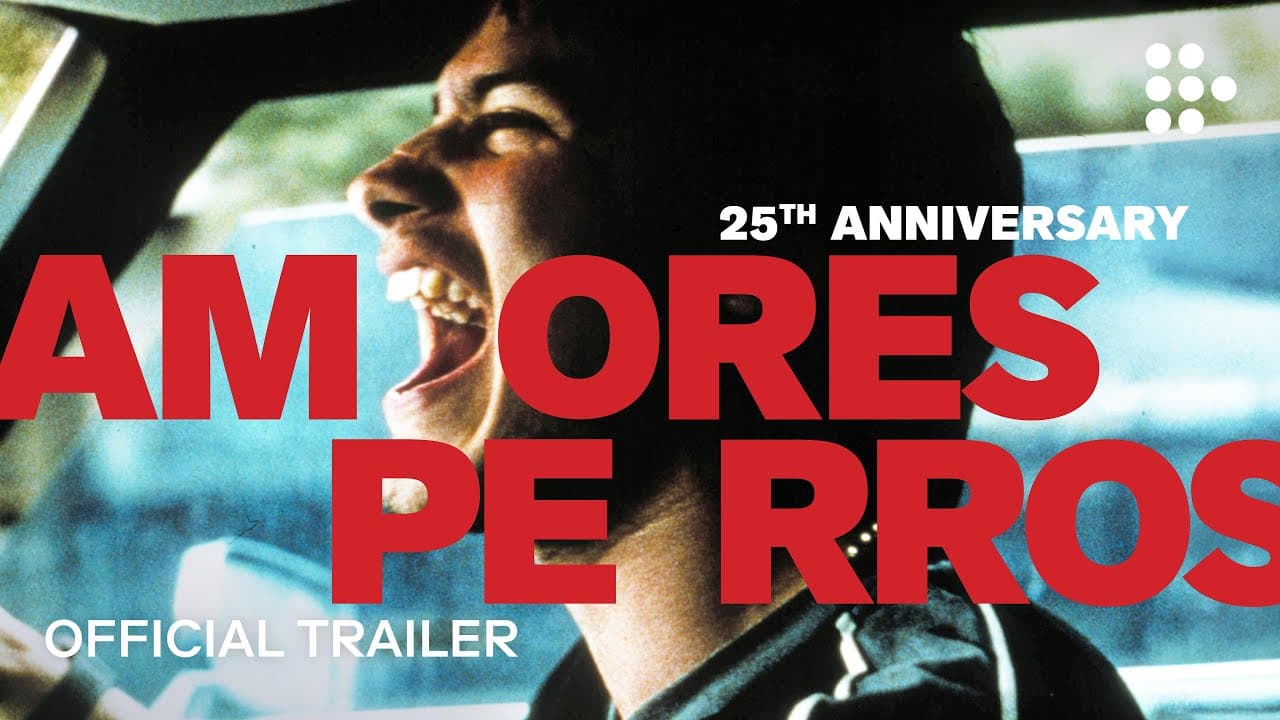 Amores Perros trailer thumbnail