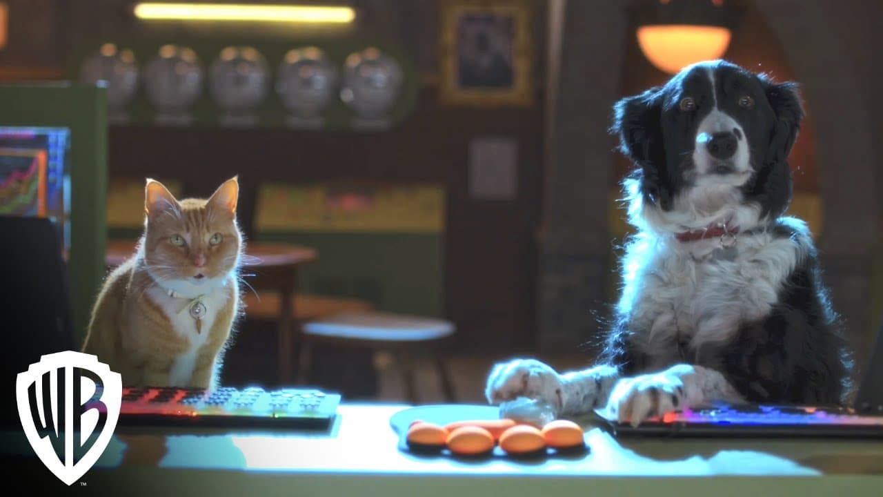Cats & Dogs 3: Paws Unite trailer thumbnail