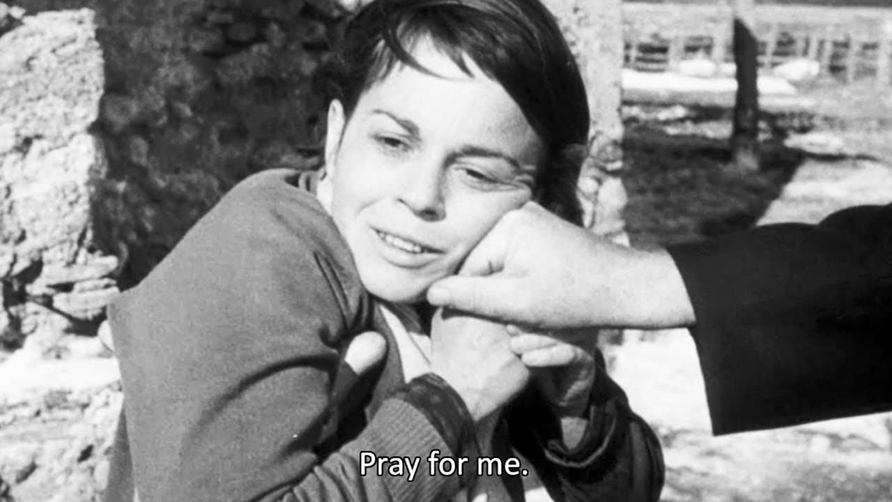 The Swindle trailer thumbnail