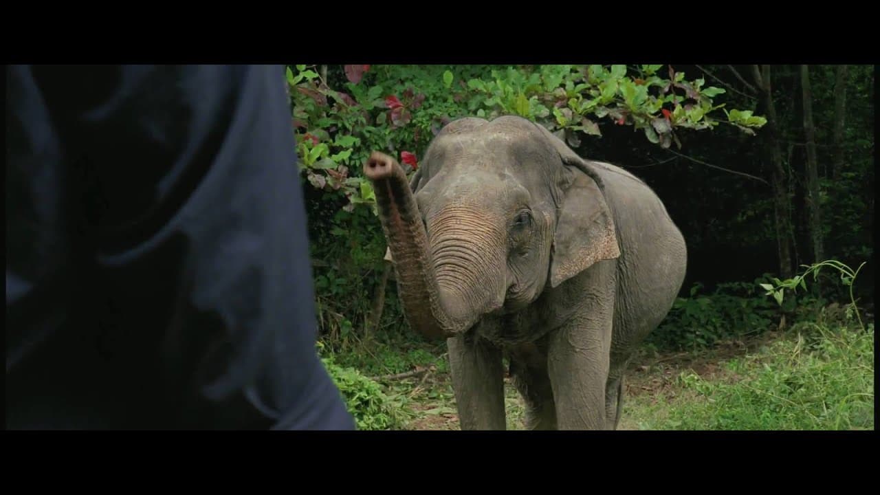 Mammoth trailer thumbnail