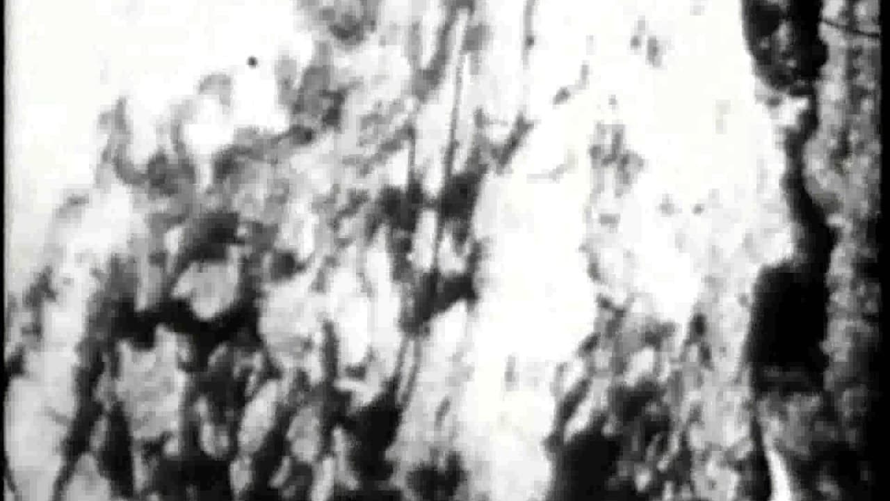 Begotten trailer thumbnail