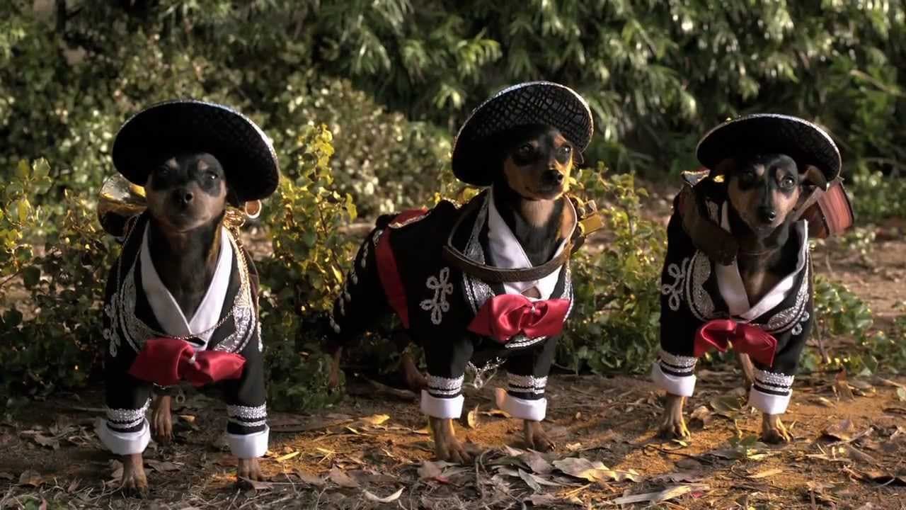 Beverly Hills Chihuahua 3: Viva la Fiesta! trailer thumbnail
