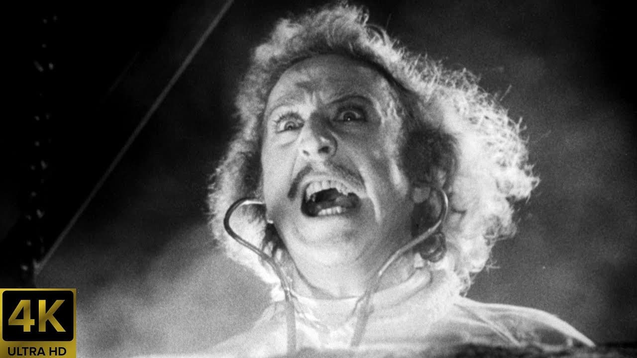 Young Frankenstein trailer thumbnail