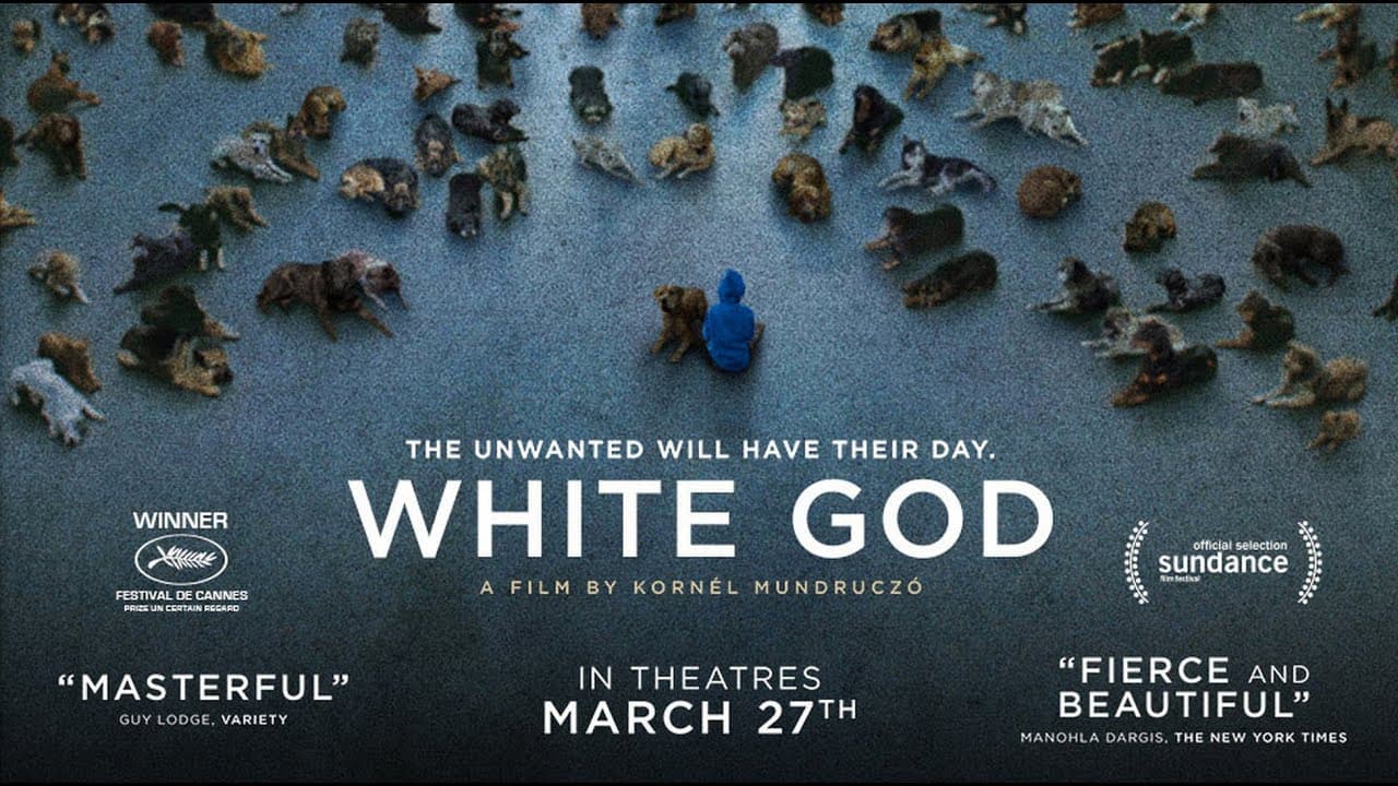 White God trailer thumbnail