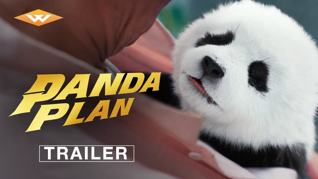 Panda Plan trailer thumbnail