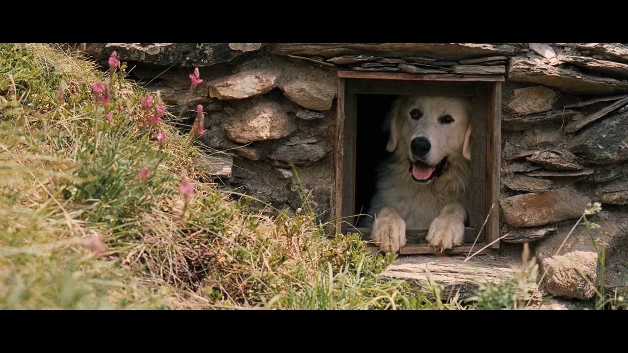 Belle and Sebastian trailer thumbnail