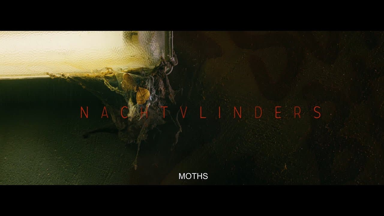 Night Creatures trailer thumbnail